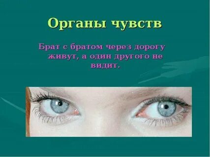 Два брата через дорогу живут а друг