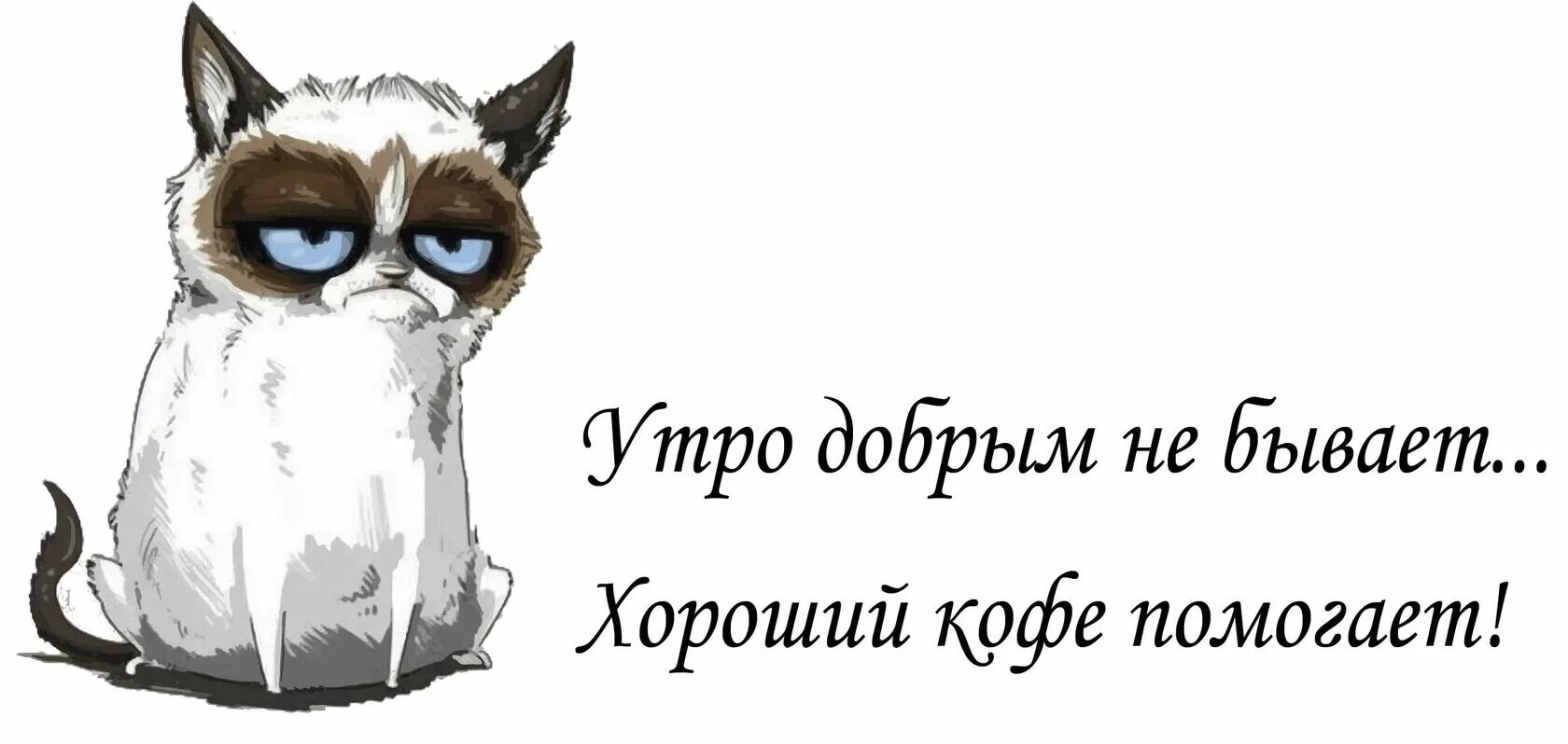 Недоброе утро картинки. Утро добрым не бывает. Утро понедельника добрым не бывает. Открытка утро добрым не бывает.