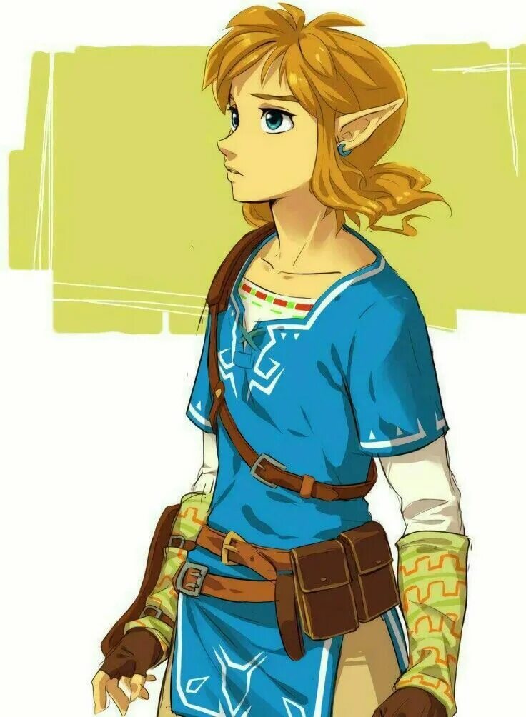 Линк Легенда о Зельде. Линк арт the Legend of Zelda. Линк Зельда 2000. Линк из the Legend of Zelda.