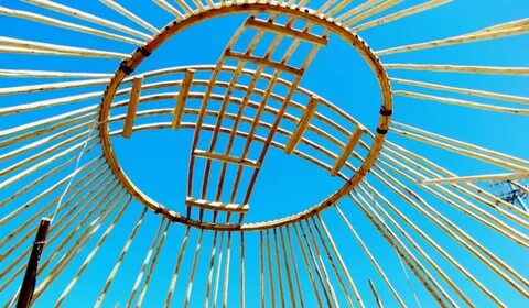 Шашты кисканың суреті