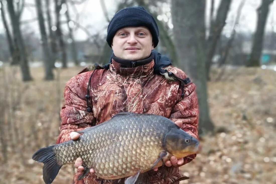 Самой большой карась. Самый большой сазан в России пойманный вес. Самый большой карась пойманный в мире. Огромный карась. Гигантский карась.