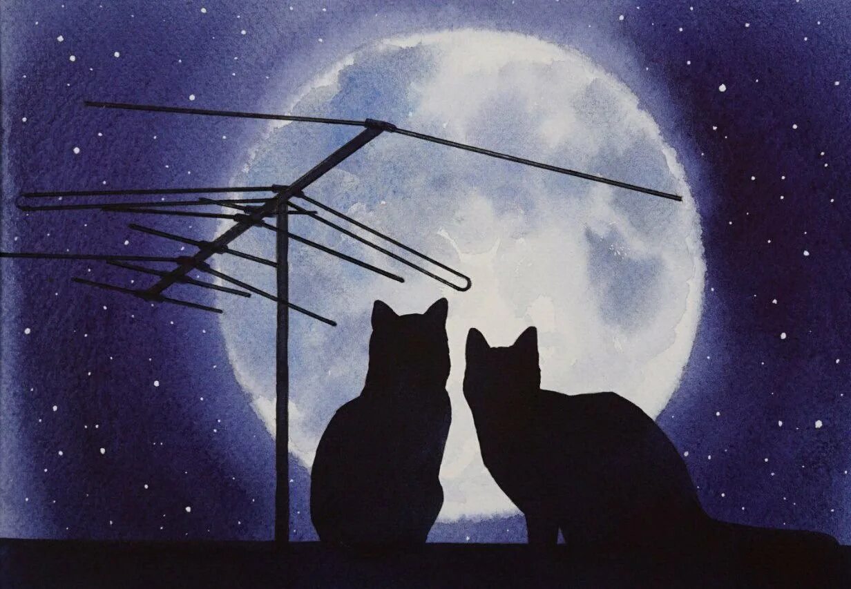 Женщина в окне. Человек под луной. Одинокий парень. Анекдот ночь кладбище. Хорошие пожелания на ночь.