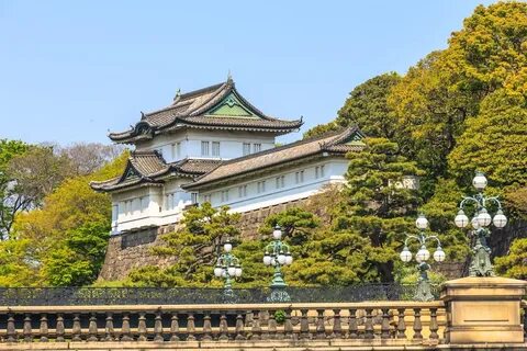 A dog lives in the imperial palace