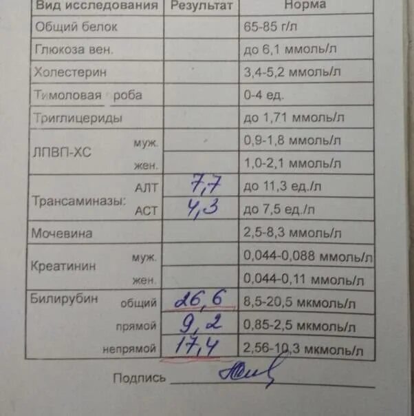 Норма креатина анализы