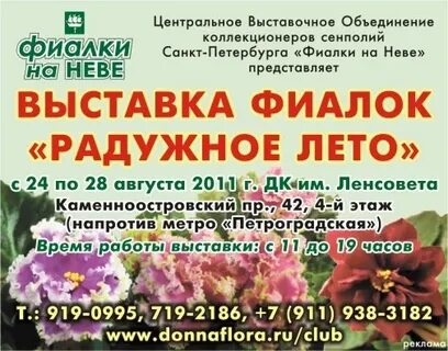 Выставка фиалок в санкт петербурге