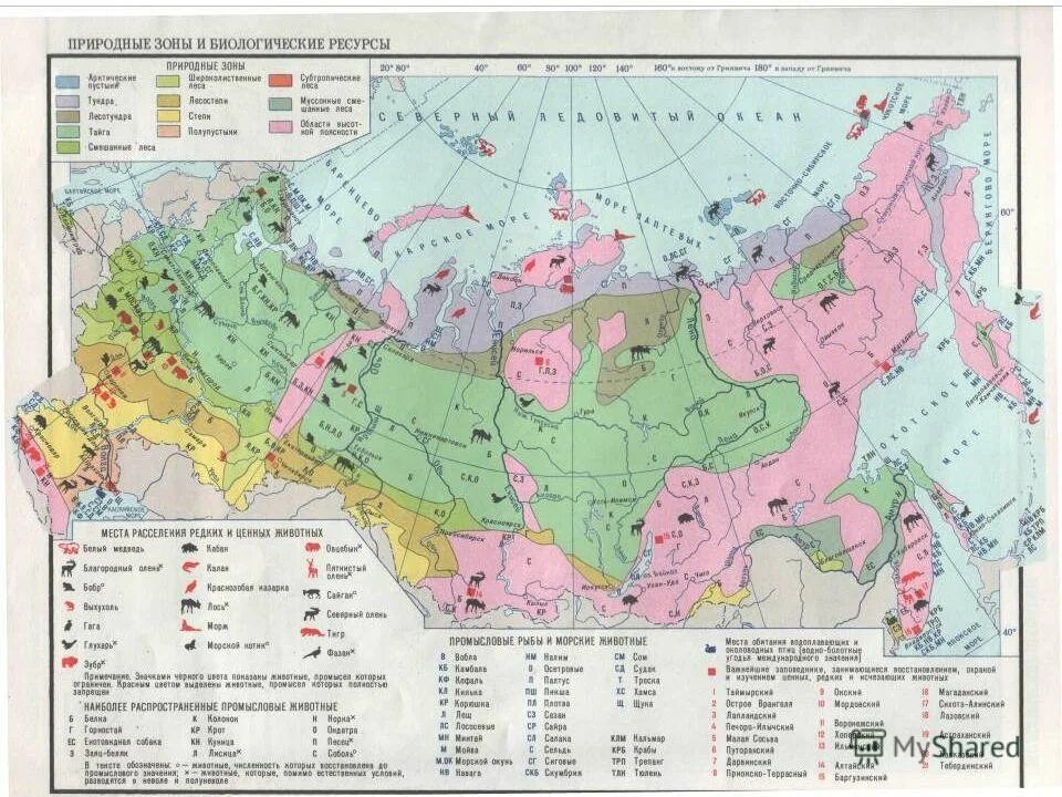 Природные зоны ресурсов и животных. Карта природных зон рф атлас. Карта природных зон мира с животными и растениями. Природные зоны россии карта 4кл. Растительный мир россии карта.