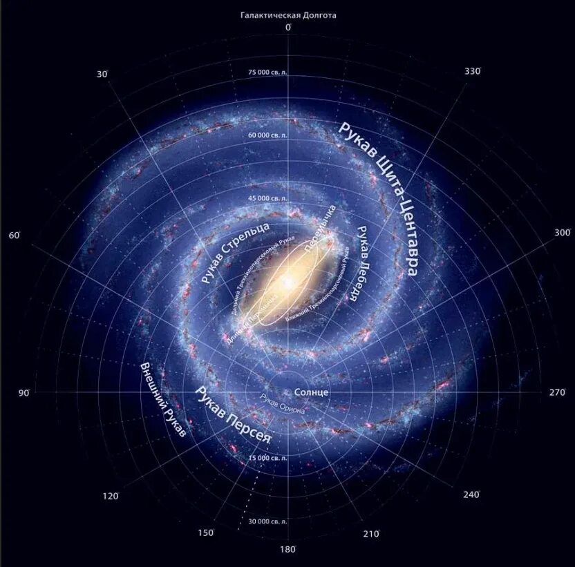 Где центр галактики. Галактика Млечный путь Солнечная система. Карта Галактики Млечный путь. Центр Галактики Млечный путь. Млечный путь схема в солнечной системе.