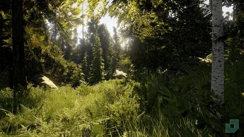 Unreal engine forest