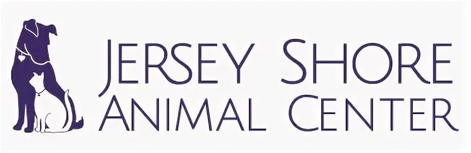 Animal centre. Заветы ильича пушкино. Animal centre. Animal centre. Animal centre.