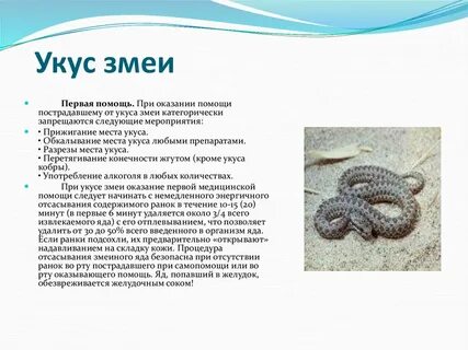 Умирают ли от укуса гадюки