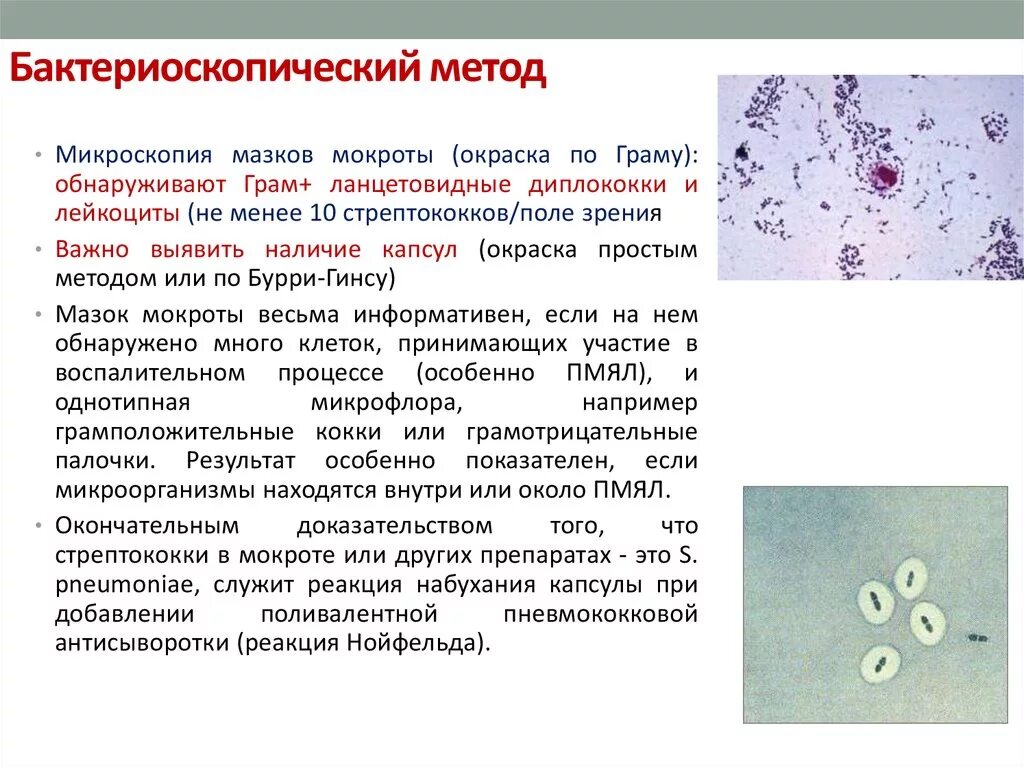 Мокроты еразнере. Окрашивание по Граму грамположительных бактерий. Метод окраски бактерий по Граму. Исследование мокроты спирали Куршмана. Кристаллы Шарко-Лейдена в мокроте.