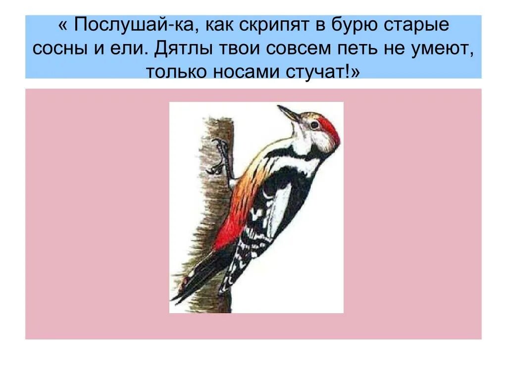 Ласточка питается мухами. Дятел карточка. Предложение про дятла. Дятел формы слова. Где живет дятел.