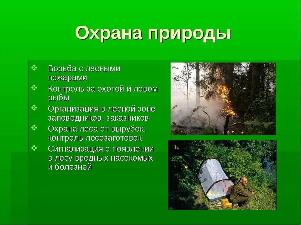 Что делает государство для охраны окружающей. Охрана природы. Экология и охрана природы. Охрана природы доклад. Природа защита окружающий среды.