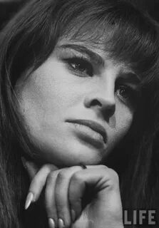 The special edition: Julie Christie 