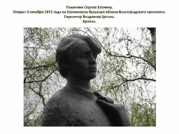Памятники сергея есенина. Памятник есенину в липецке. Памятник сергею есенину в воронеже. Памятник сергею есенину в краснодаре. Описание памятника сергею есенину скульптор цигаль.
