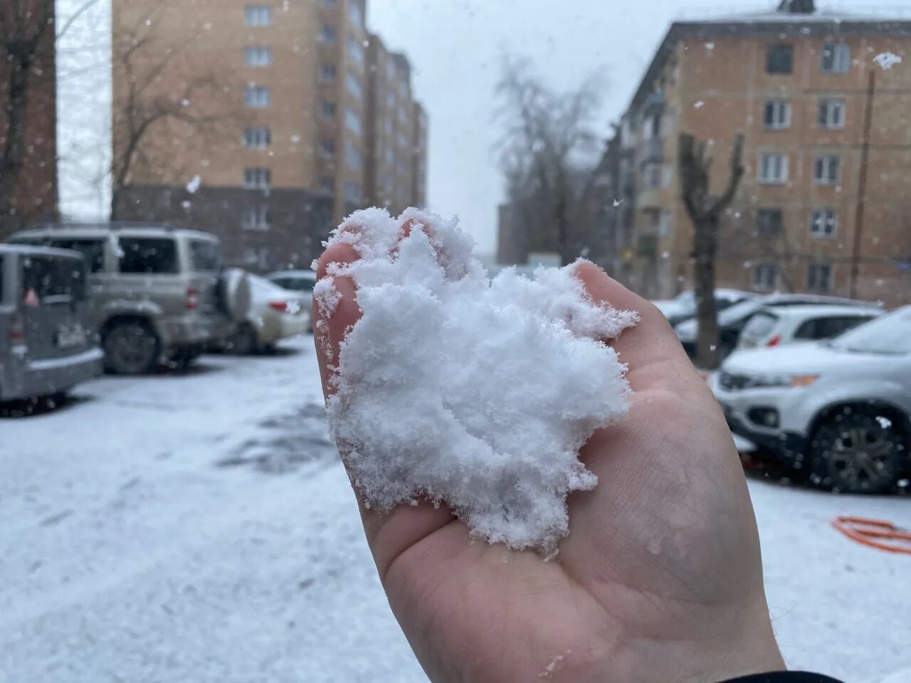 Немного снега выпало. Летний снег. Снег в Красноярске. Припорошило снегом. Припорошил снежок.