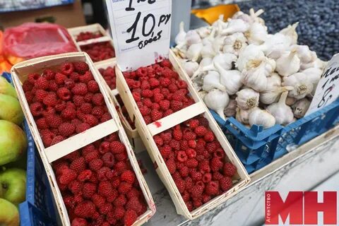 Почем алис