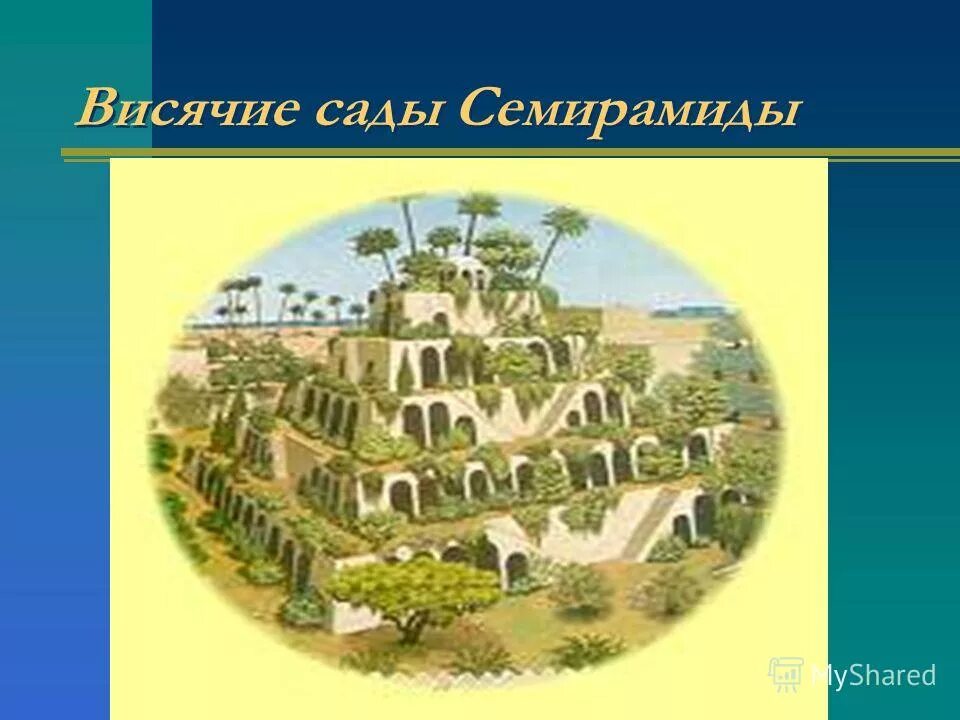 сады семирамиды саженцы