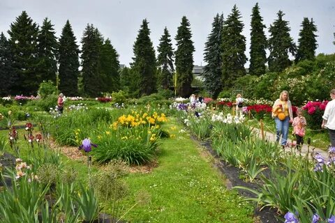Экскурсия в ботанический сад москва