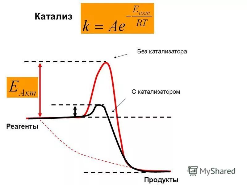 Химический катализ. Катализ. Теория катализа. Виды катализа в химии. Катализ и его виды.