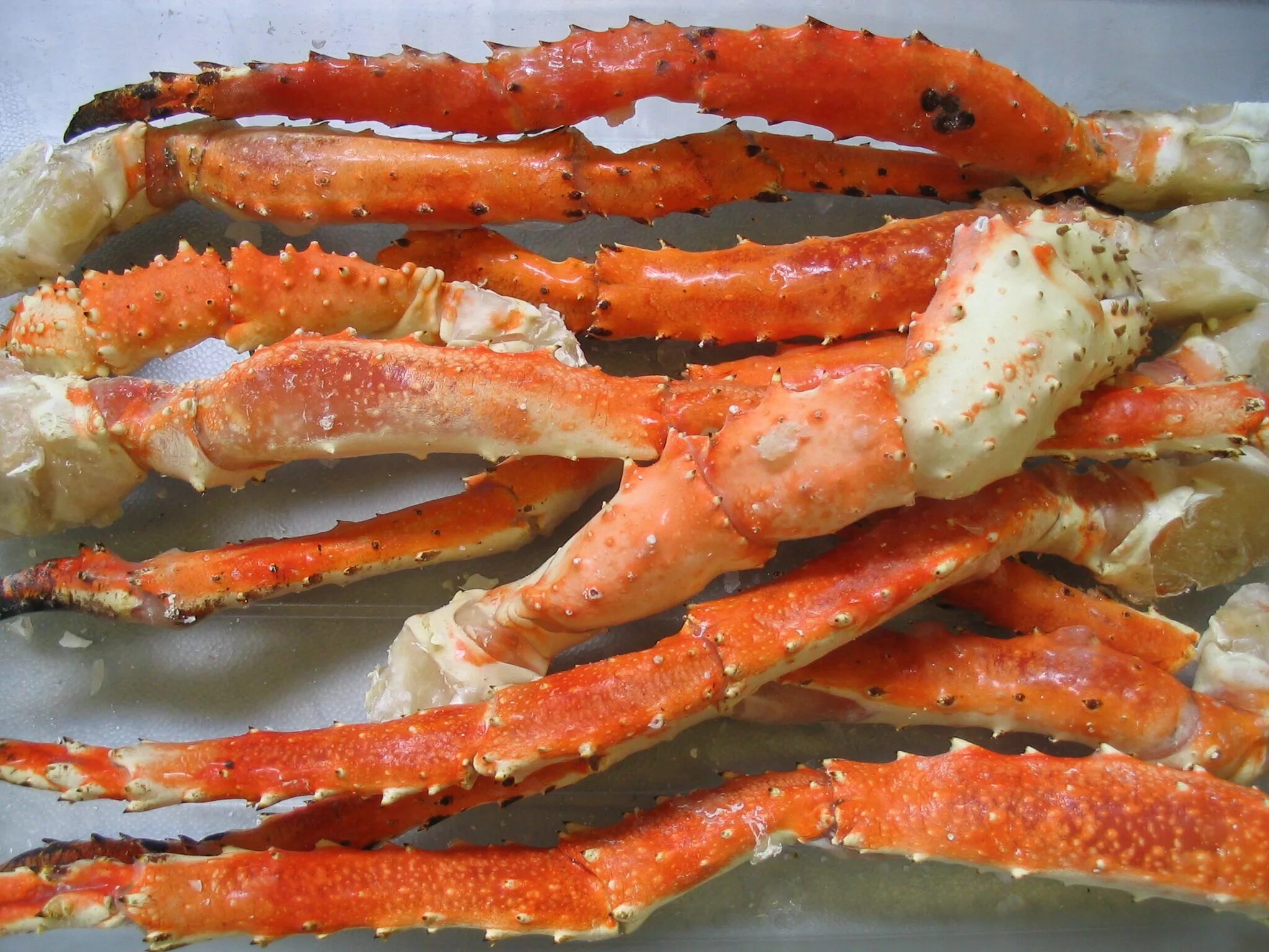 Королевский краб живой. Мясо краба Red Crab. Краб мороженный. Снежный краб. Как варить краба замороженного в домашних