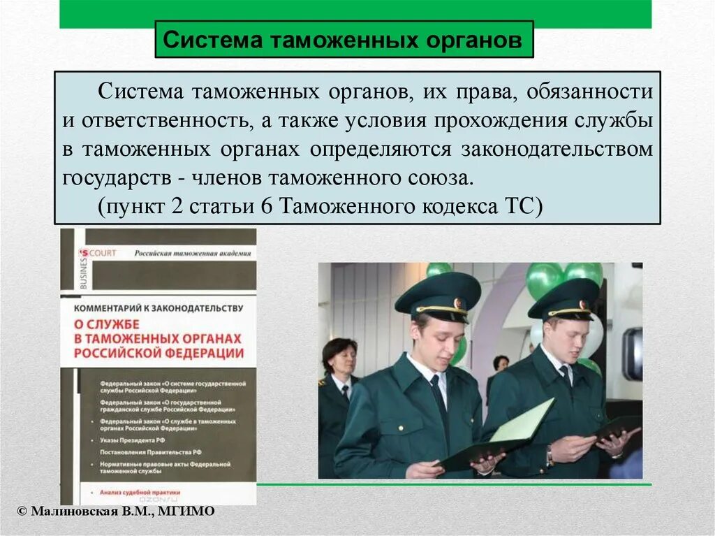 Таможенные органы стран. Обязанности таможенных органов. Ответственность таможенных органов.