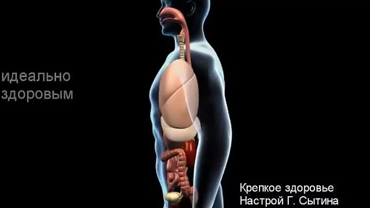 Настрой на оздоровление сердца. Настрои Сытина читает Автор. Настрои Сытина на оздоровление сердца. Настрои Сытина на крепкое здоровье. Настрои Сытина на оздоровление сердца и сосудов.