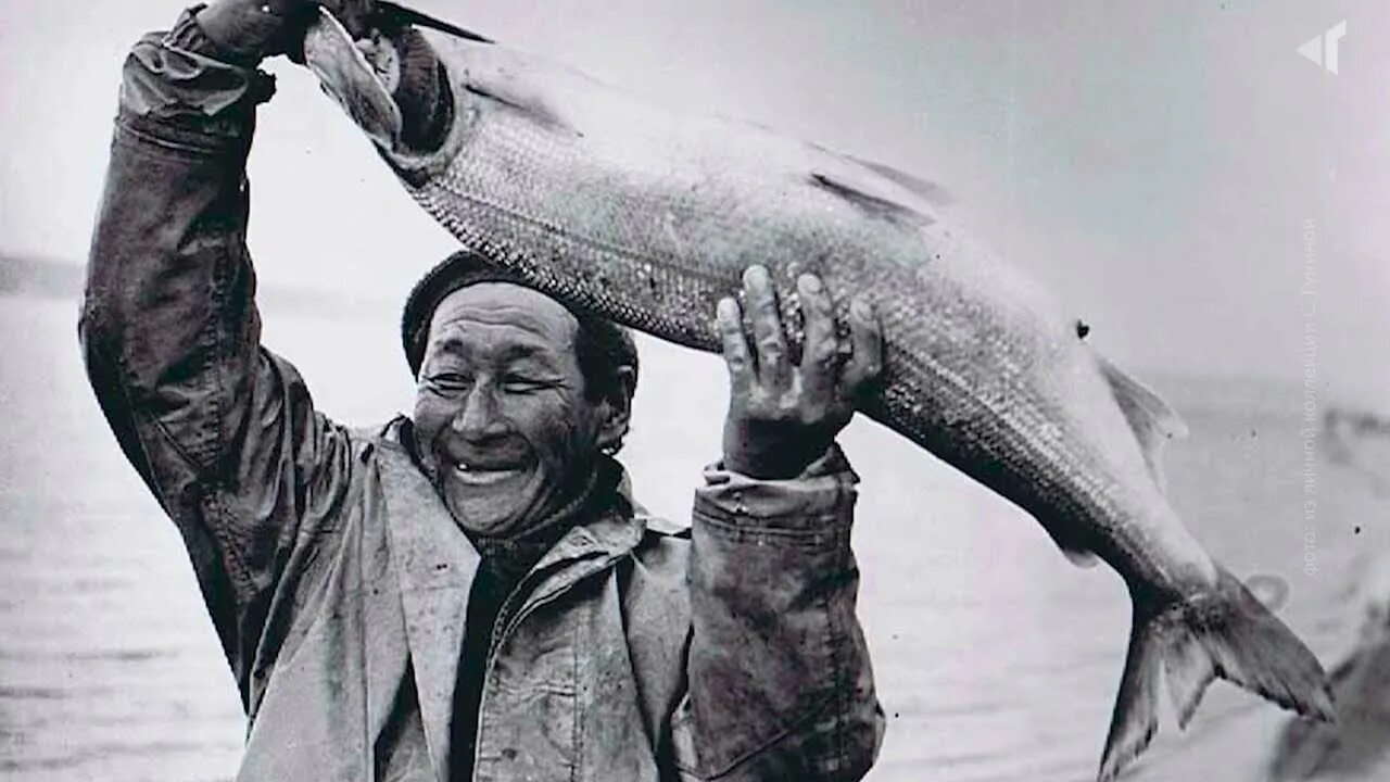 Ненцы рыболовство. Рыба северных народов. Рыбаки на севере. Инуиты — канадские эскимосы. Юкола манси.