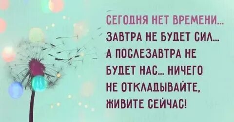 Хороший принцип живи сегодняшним днем