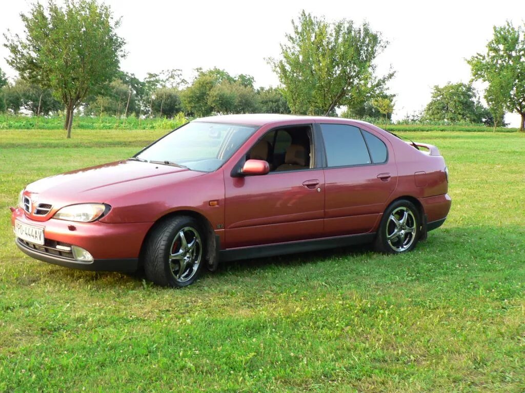 Ниссан примера р11 размер. Ниссан п11. Nissan primera p11 2000 хэтчбек п. Ниссан премьера п 11. P11 primera 2000г.