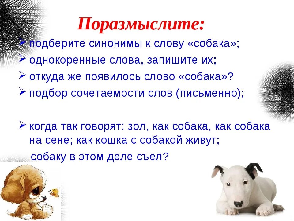 Однокоренные слова собака. Собака однокоренные слова подобрать. Синонимы слова к слову собака. Однокоренные слова к слову щенок. Синонимы к слову третий