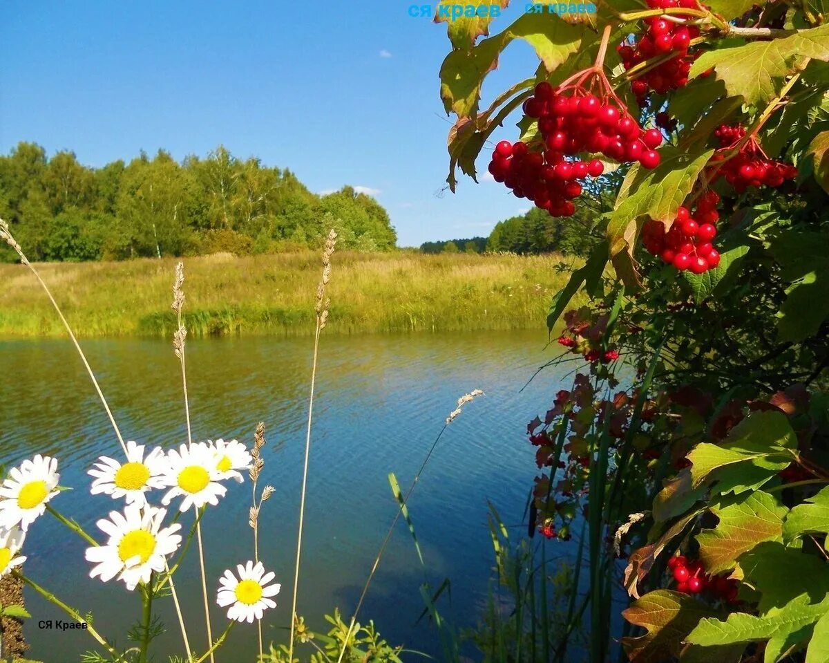 Песня над водой ой над водой. Калина у реки. Калина над рекой. Лето река. Озеро Калина.