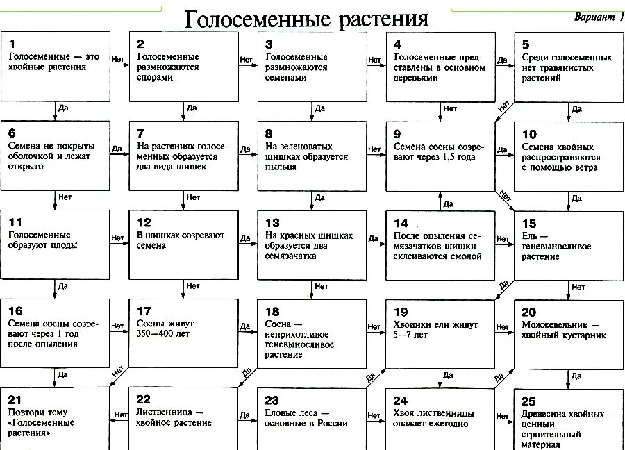 Биология 7 класс контрольная работа покрытосеменные растения. Тест Голосеменные растения. Лабиринт Голосеменные растения ответы. Лабиринт по биологии. Тест по биологии 5 класс Голосеменные растения.