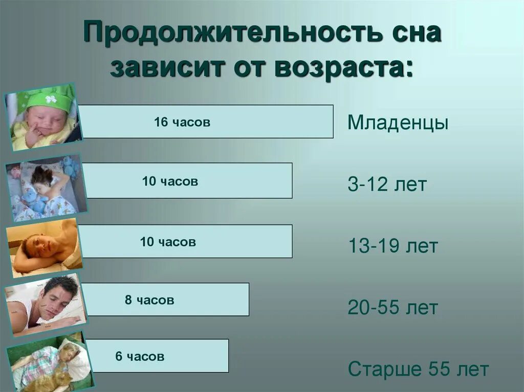 Сколько должен пройти. Продолжительность сна. Продолжительность сна в зависимости от возраста. Средняя Продолжительность сна взрослого человека. Нормальный здоровый сон.