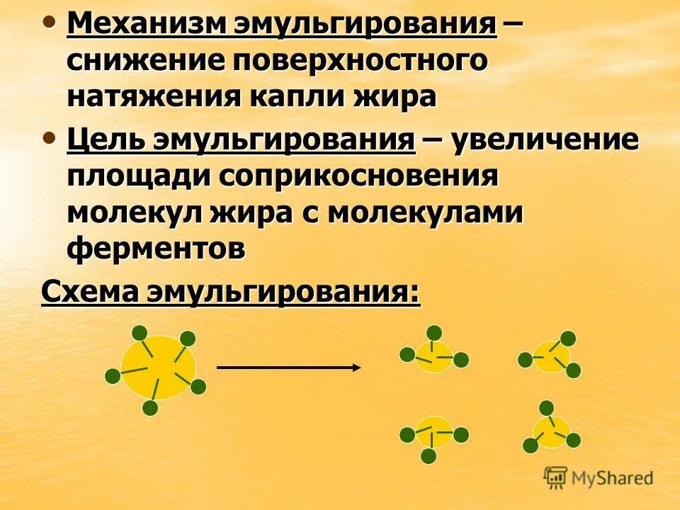 Эмульгирование жиров желчными кислотами. Желчь, функции желчи. Эмульгирование липидов схема. В процессе эмульгирования липидов происходит. Механизм эмульгирования жиров желчью.