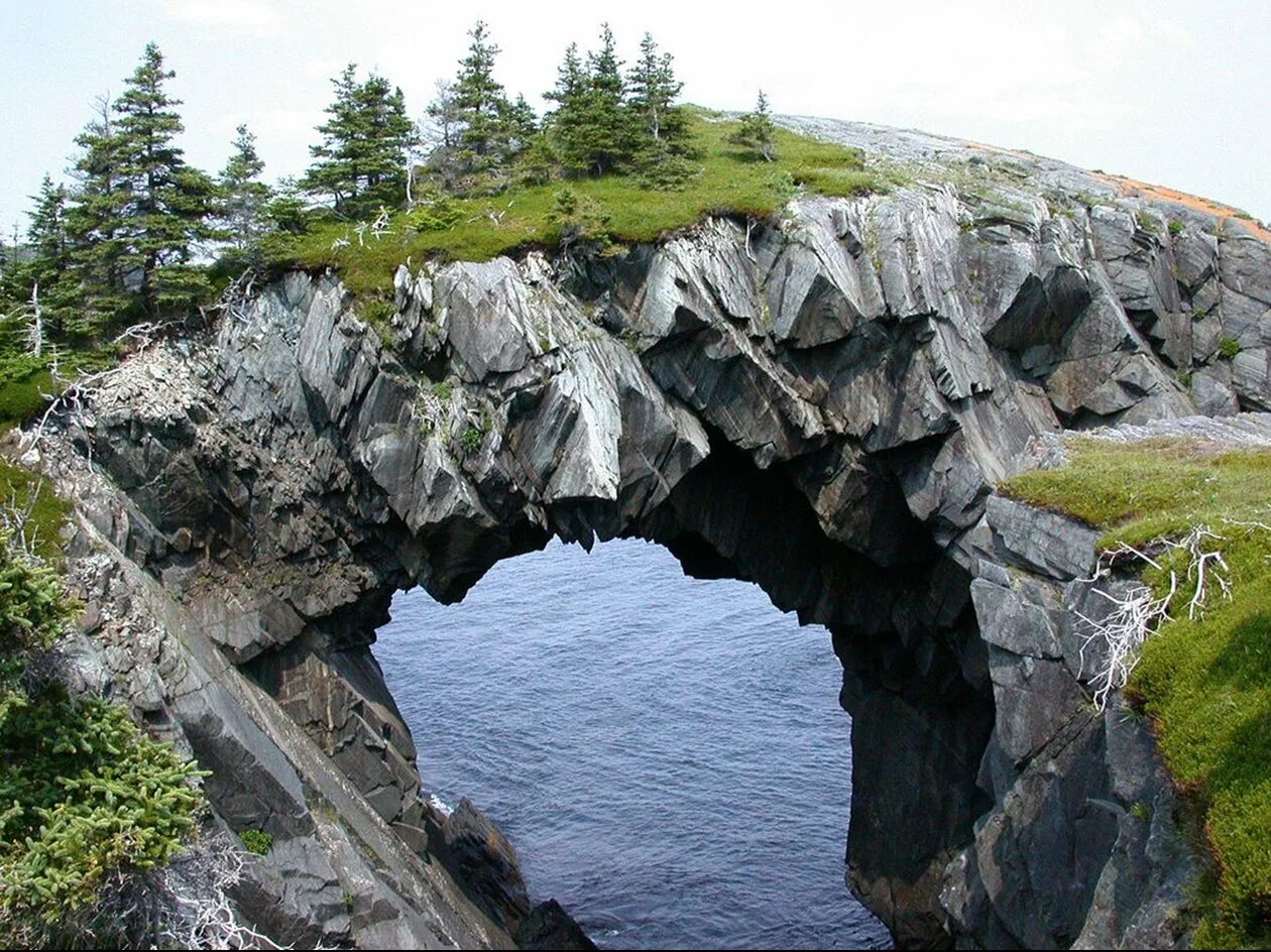 Места с уникальной природой. Арка Берри хед Канада. Арка Берри хед ньюфаундленд Канада. Арка Стеллера. Остров ньюфаундленд природа.