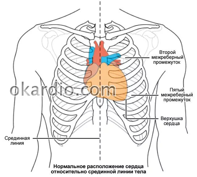 Эффект Манделы - ЯПлакалъ