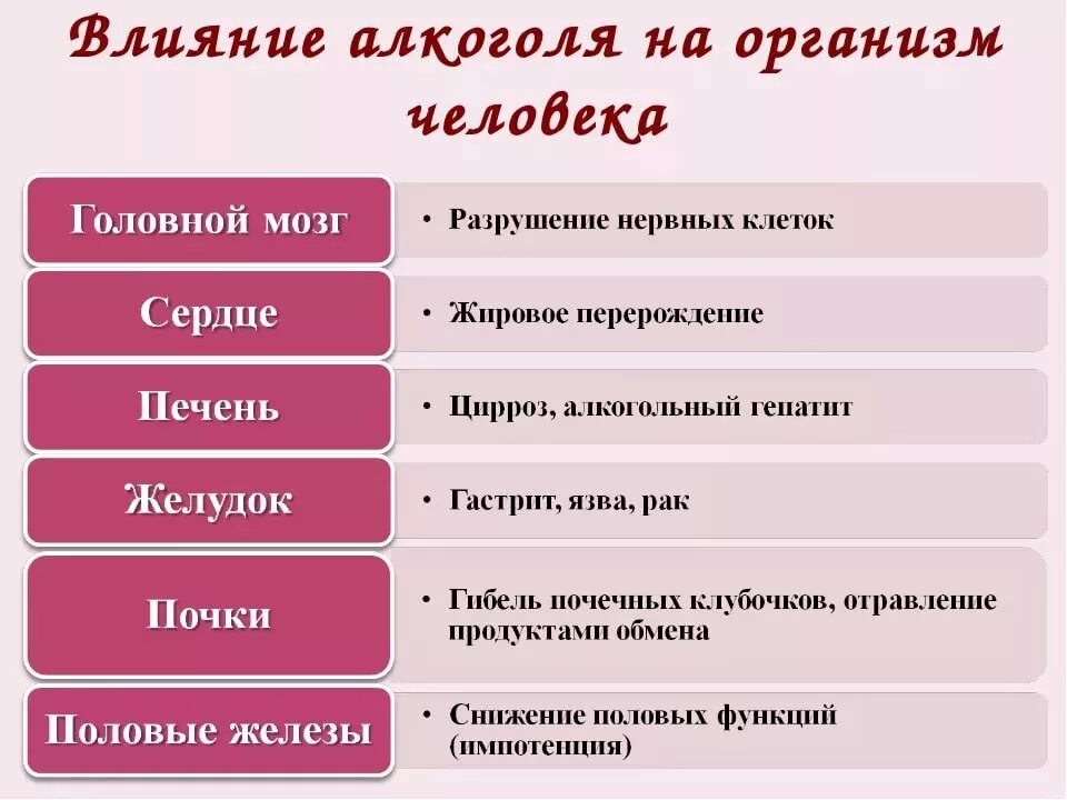 Сколько дают за почку