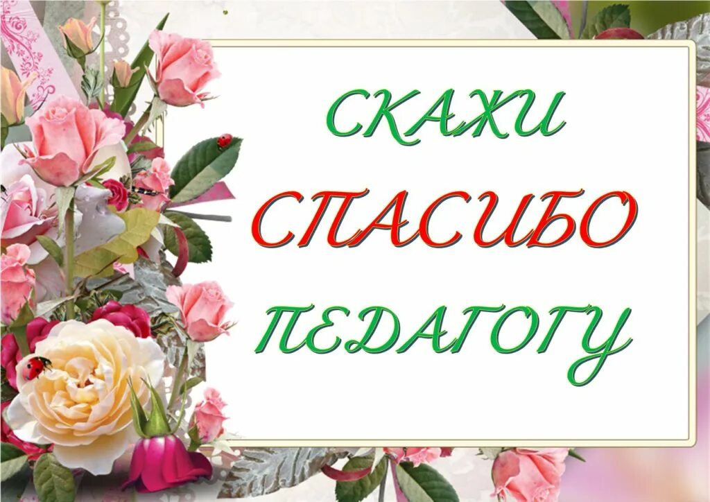 Благодарю учителя. Благодарю учителя