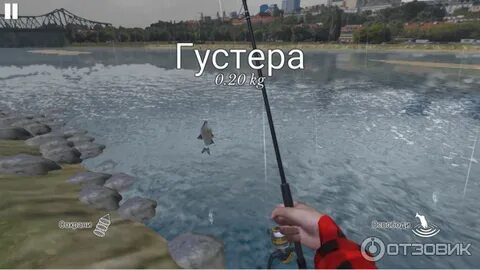 Поймать 10