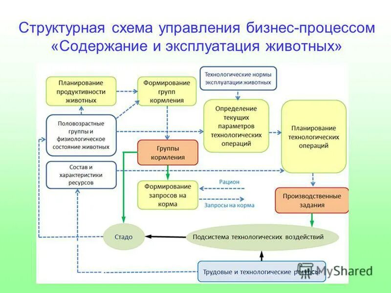 Технологические процессы содержания животных. Схема процесса управления. Схема управления бизнесом. Схема управления бизнес процессами. Концептуальная схема управления бизнес-процессом.