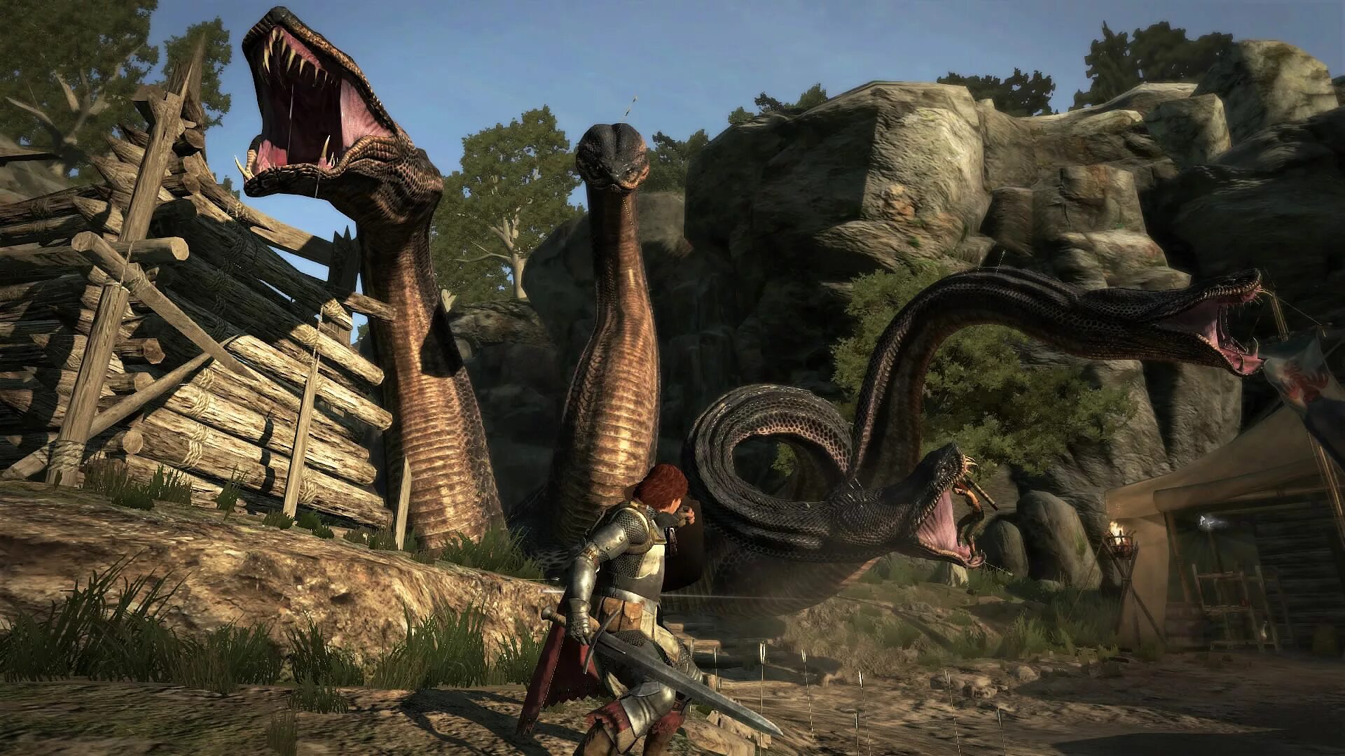 Dragon s dogma 2 гайд. Dragon's Dogma: Dark Arisen. Dragons Dogma 1. Догма дракона игра. Dragon s Dogma 2.