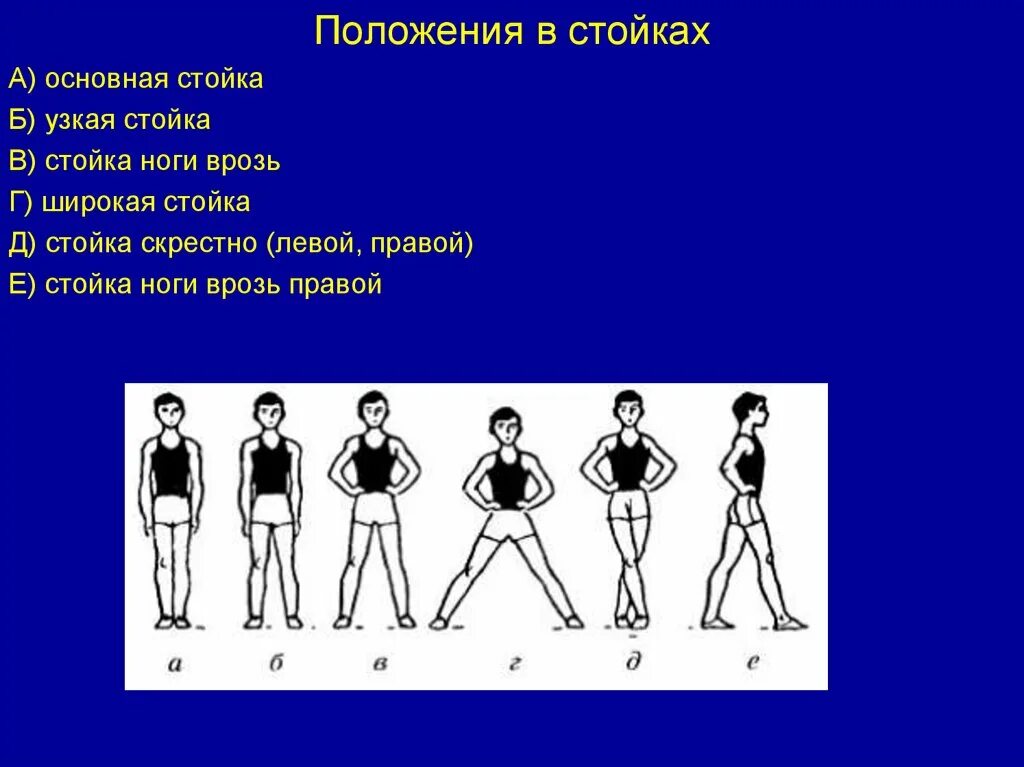 Плотный позиция. Основная стойка. Узкая стойка в физкультуре. Основная стойка в физкультуре. Исходное положение основная стойка.