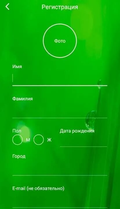 Поле дата рождения должно содержать дату. Поле дата рождения должно содержать дату