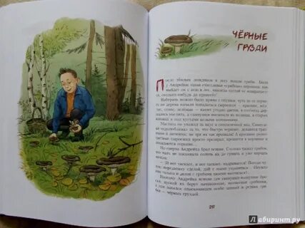 Андрейка содержание