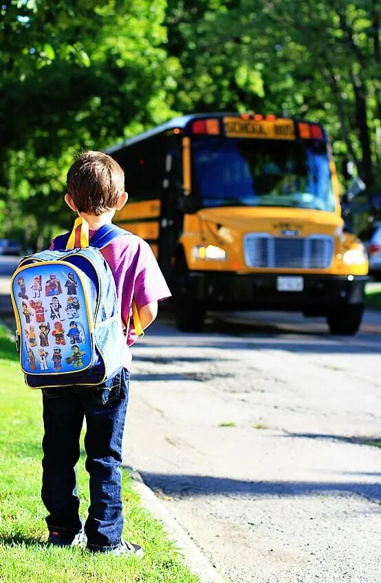 He will go to school. Go to School. Опоздал на школьный автобус. Школьный автобус фотосессия. To go to School.