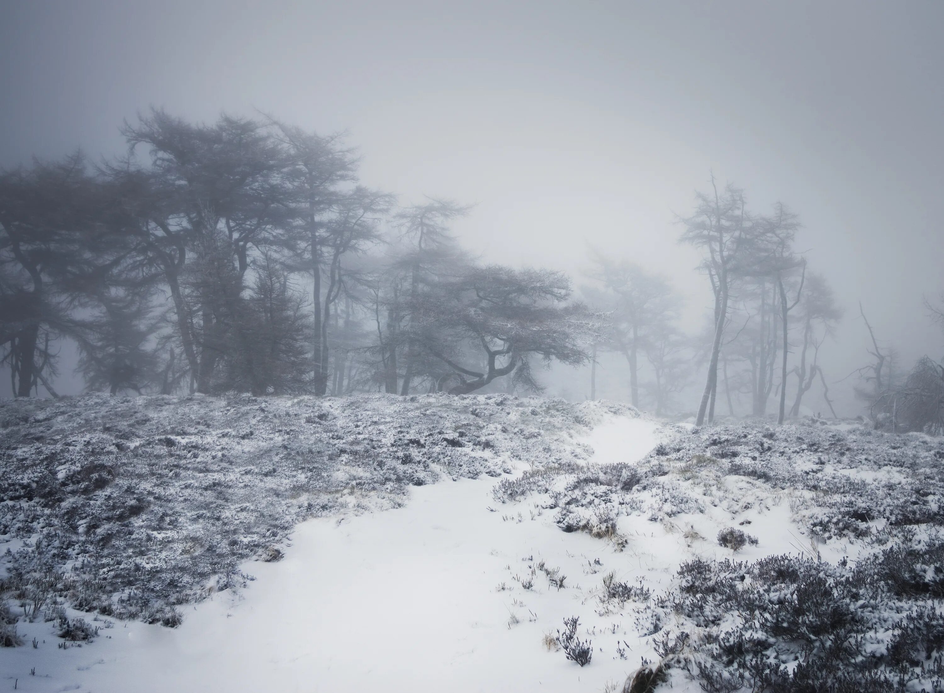Cold plains