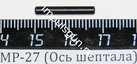 Та которая шептала