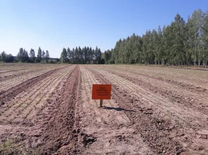 Участки в разведке
