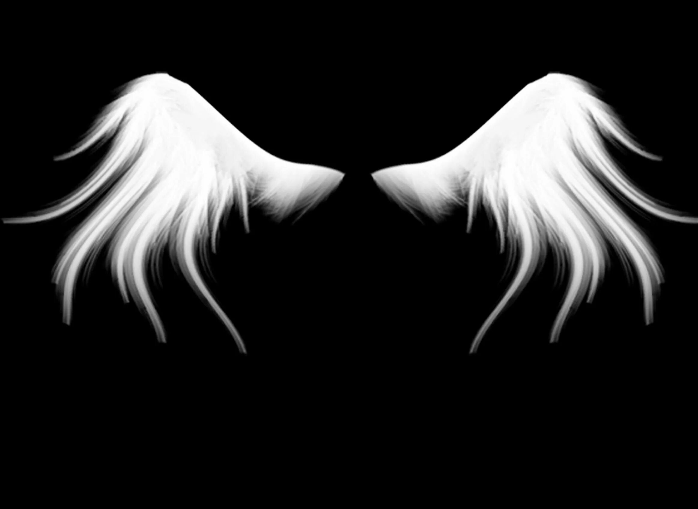 Темные Крылья. Ангельские Крылья. Крылья фон. Красивые Крылья. Крылья на черном фоне